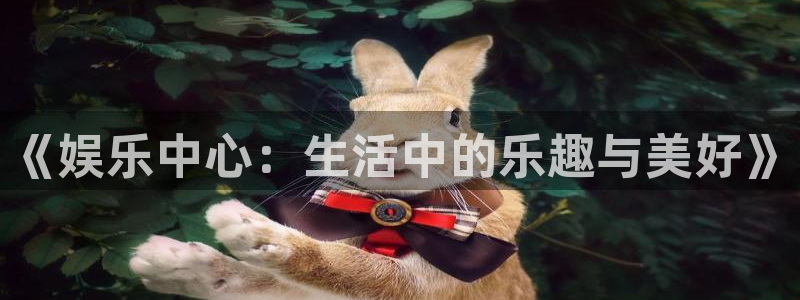 天顺娱乐：《娱乐中心：生活中的乐趣与美好》