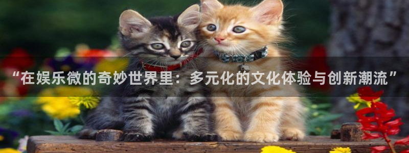 upload/20250701114914.jpg