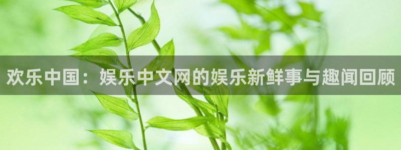 天顺娱乐：欢乐中国：娱乐中文网的娱乐新鲜事与趣闻回顾